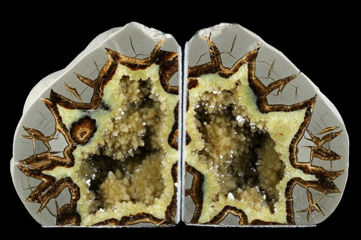 Crystal Filled Septarian Geode Bookends - Utah #184588